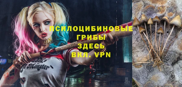 ALPHA PVP Баксан